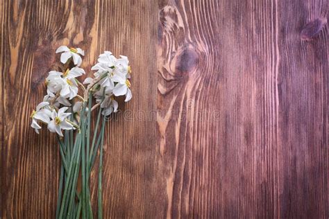 Freshly Cut Bunch Of White Narcissi On A Wooden Table Stock Image