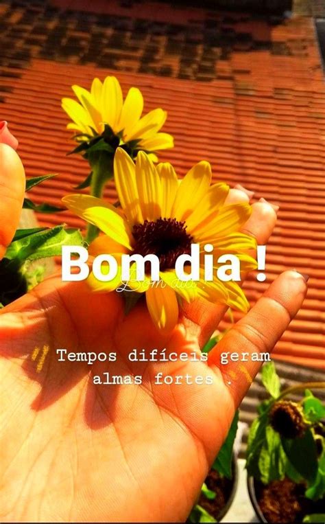 Pin De Renato Fam Lia Em Bom Dia Amigos Em Mensagens De Bom Dia