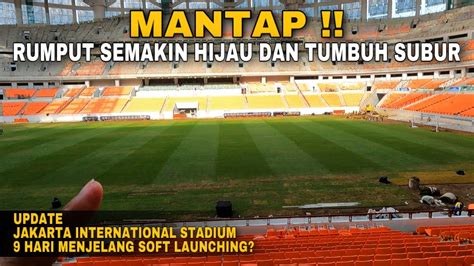 Mantap Rumput Semakin Hijau Dan Tumbuh Subur Di Lapangan Utama