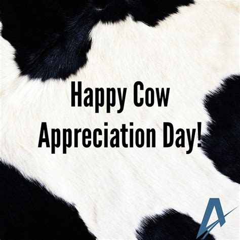 Farmers Care For Their Cows Every Day Happy CowAppreciationDay Https