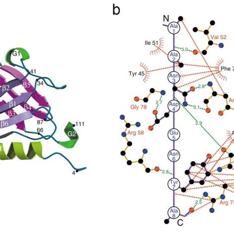 17 Characterization of SspB_nano, SspB_micro, and SspB_milli ...