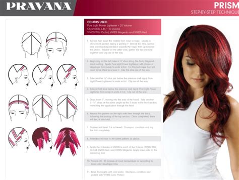 Beginner Step By Step Hair Color Placement Diagrams 17 8k Li