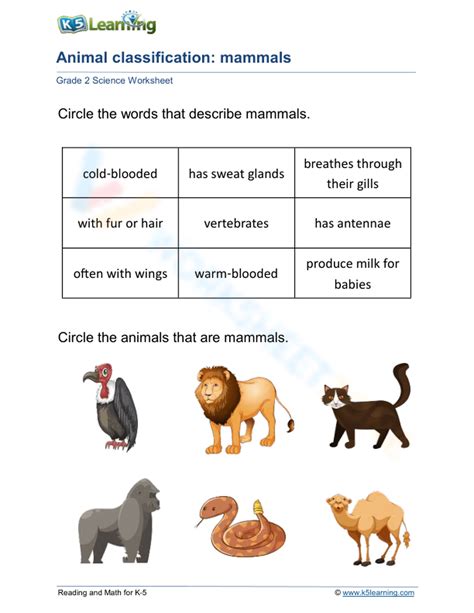 Animal Classification: Mammals Worksheet - Worksheets Library