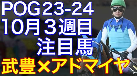 【pog23 24】10月3週目デビューの注目新馬を紹介【武豊×アドマイヤ×友道厩舎の期待馬がデビュー！！】 競馬動画まとめ