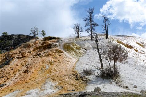 Mammoth Hot Springs Stock Image Image Of America National