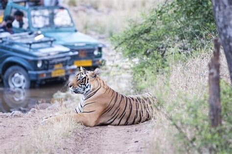 Ranthambore National Park Private Gypsy Safari With Tickets