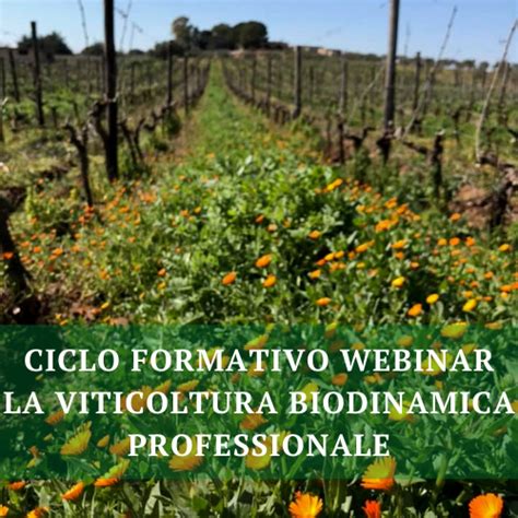 La Viticoltura Biodinamica Professionale Video Corso Vinidea It