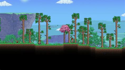 Best Terraria Seeds - Pro Game Guides