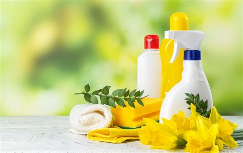 Spring Cleaning Tips Clover Health