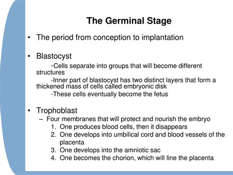 Ppt Chapter 2 Powerpoint Presentation Free Download Id5648087