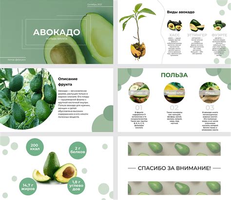 Presentation/Презентация :: Behance