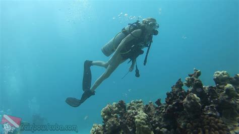 Beginner Scuba Diving Honolulu Hawaii 09 17 2019 Youtube