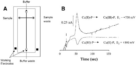 A Microchip Capillary Electrophoresis With End Column Dual Electrode Download Scientific