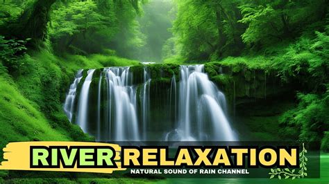 River Sounds For Sleeping Nature River Sounds Soothing Asmr Nature