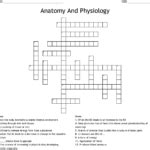 Anatomy And Physiology Crossword Puzzle Printable Anatomy Worksheets