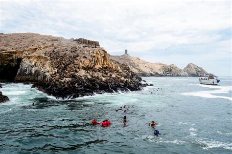 Desde Lima Excursión Islas Palomino Bahía Del Callao Medio Día