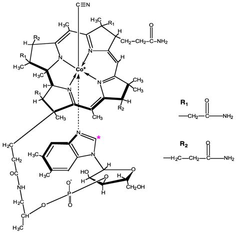 Chemical Structure Of Cyanocobalamin With The ¹⁴c Location Indicated By Download Scientific