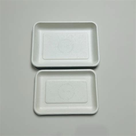 Big Rectangular Biodegradable Sugarcane Bagasse Food Tray Pulp Cake Nut