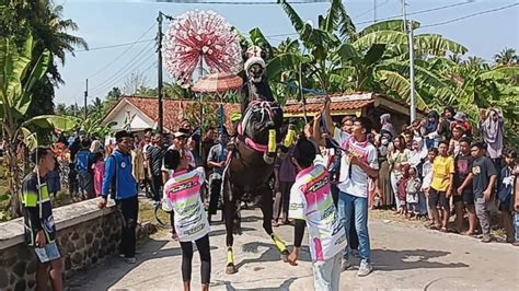 Merdeka Kuda Black Coco Tampil Di Arak Arakan Kuda Jingkrak Desa