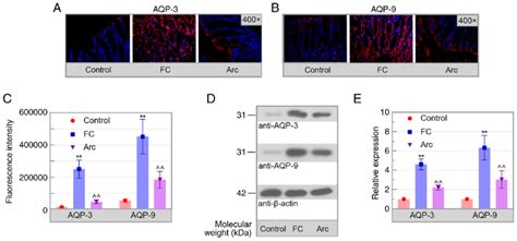 Arc Reverses Loperamide Induced Elevation Of Aqp And Aqp