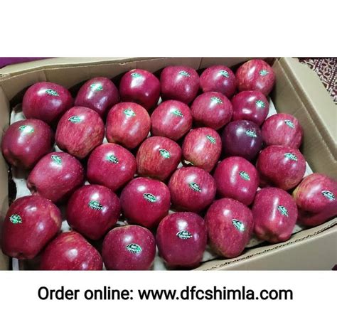 Himachali A Grade Apple Fruit Packaging Size Kg Packaging Type