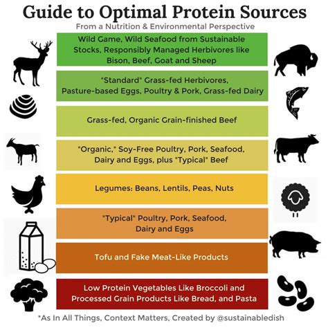 How Much Protein In Grass Fed Beef Beef Poster