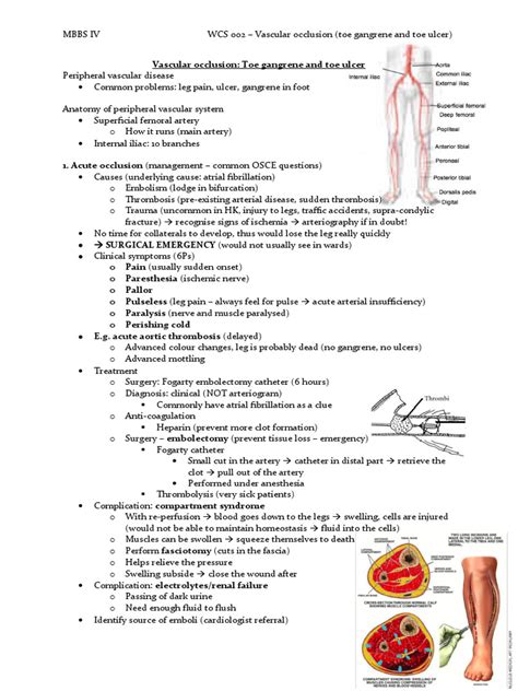 Vascular Occlusion Toe Gangrene And Toe Ulcers Pdf