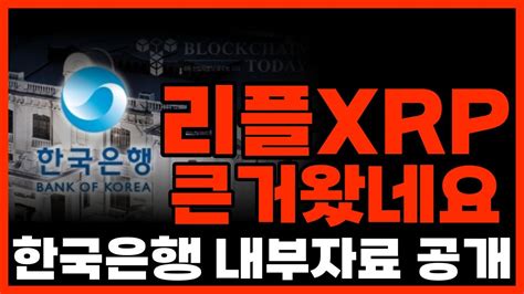 리플xrp 제가 이번에 큰거 하나 물어왔습니다 리플 비트코인 코인 서울 Youtube