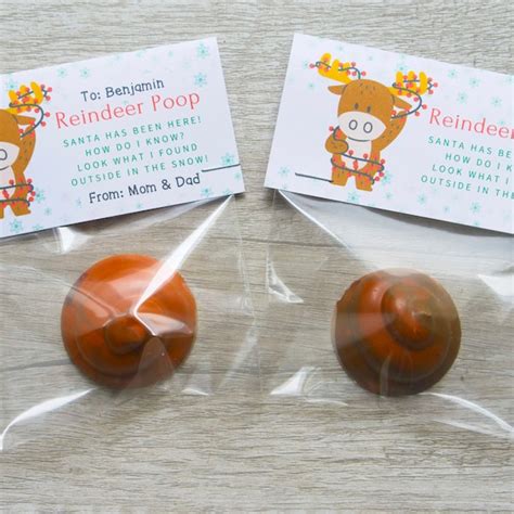 Reindeer Poop Etsy