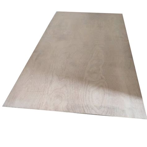 6mm Sylvan Primo Plus Wooden Plywood For Furniture At Rs 55 19 Square