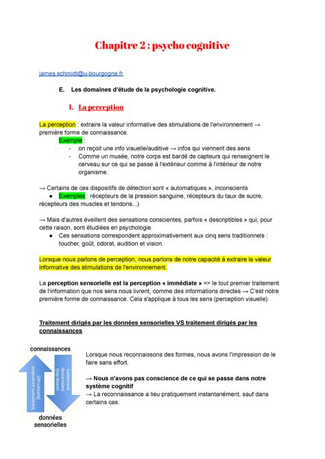 Psycho Co Schmidt L1 Chapitre 2 Psycho Cognitive James U Bourgogne