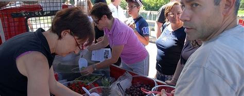 Marnate in festa ce nè per tutti La Provincia Di Varese