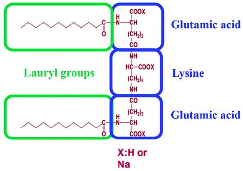 The Chemical Structure Of A Gemini Surfactant Slg The Hydrophilic