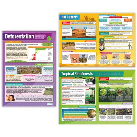 Ecosystems Set Of 6 Daydream Education