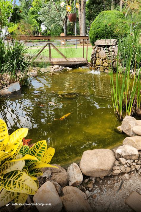 22 Inspiring Pond Ideas with Bridges to Enhance Your Outdoor Space