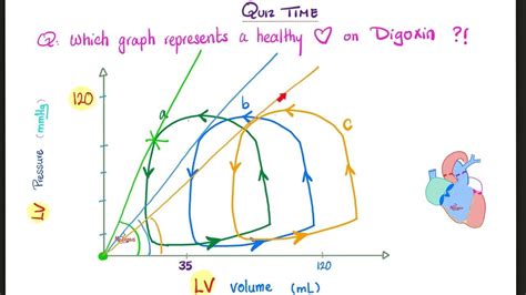 Pressure Volume Loops And The Cardiac Cycle — Cardiophysiology