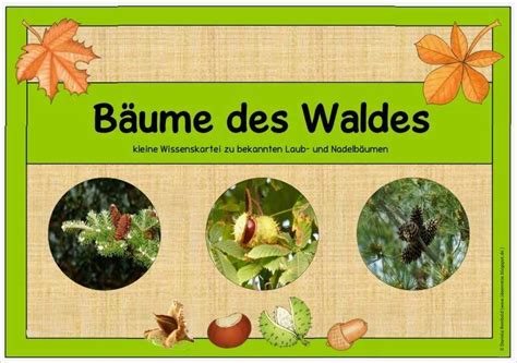 Lapbook Wald Vorlage H Bsch Wissenskartei B Ume Des Waldes Vorlage