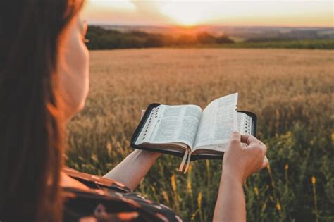 Biblia Abierta En Las Manos Puesta De Sol En El Campo De Trigo Concepto