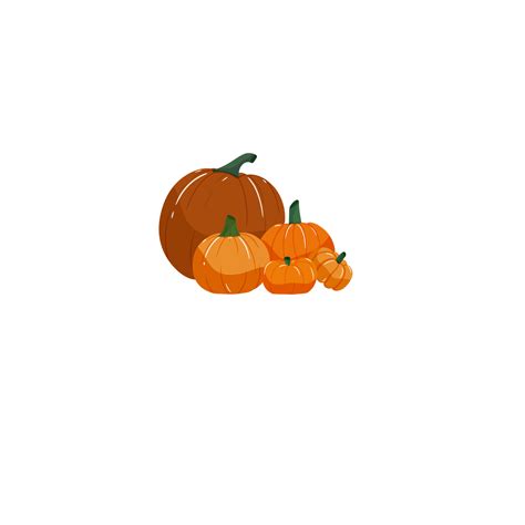 Pumpkin Set Autumn Halloween Or Thanksgiving Pumpkin Png