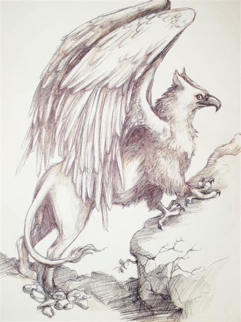 Griffin Drawing at GetDrawings | Free download