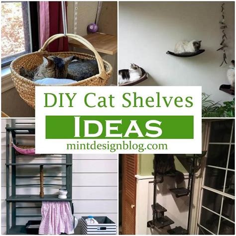 20 Diy Cat Shelves Ideas Artofit