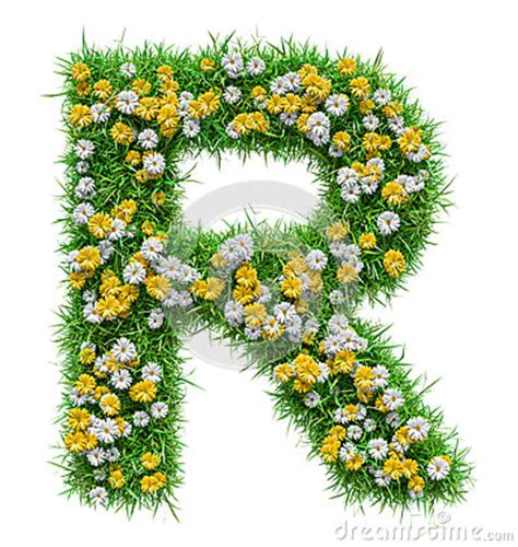 Lettre R D Herbe Verte Et De Fleurs Illustration Stock Illustration