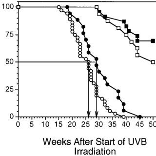 Kinetics Of The Appearance Of Skin Cancers Visible To The Naked Eye In