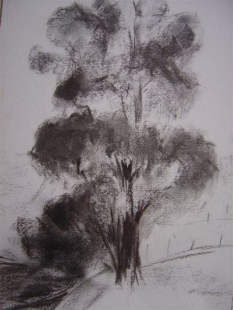 Nature Drawing Tree Drawing Painting Drawing Drawing Sketches Art