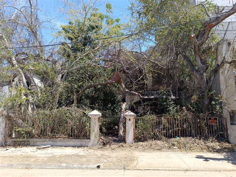 arellano felix family 6