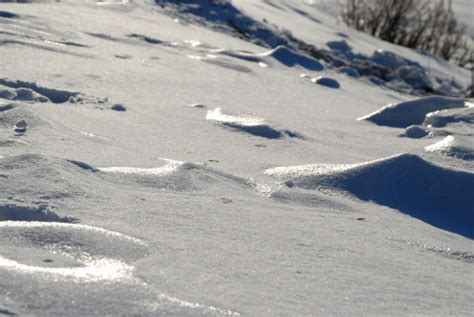 Images Gratuites : Montagne, neige, hiver, la glace, Météo, saison ...
