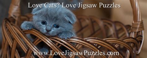 60 Free Jigsaw Puzzles Of Cats And Kittens Online Jigsaws Of Cats