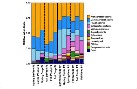 Bar Charts Showing Relative Abundances Of The Bacterial Community