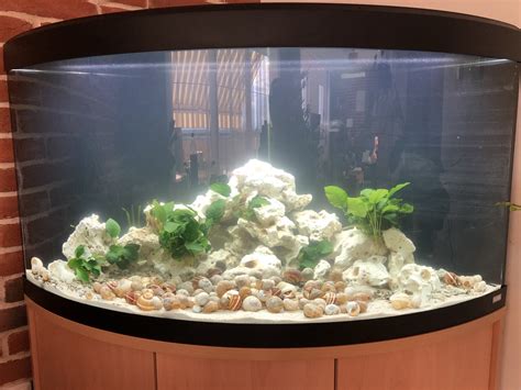 Setup completed! | Cichlid Fish Forum