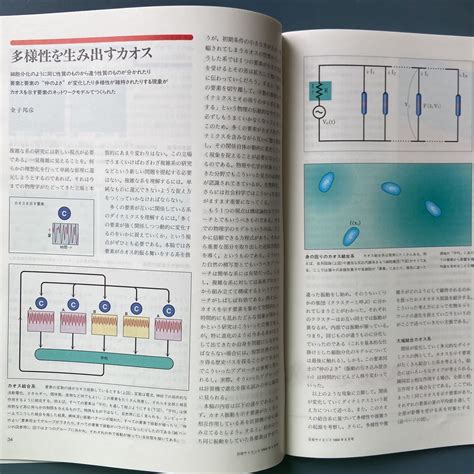 Yahooオークション 日経サイエンス 19945 複雑系の科学 タイムマシ